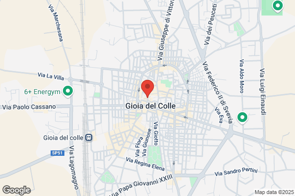 Il Santo Bevitore Di Maria Giovanna Gabriella cozzolini & c. Sas
