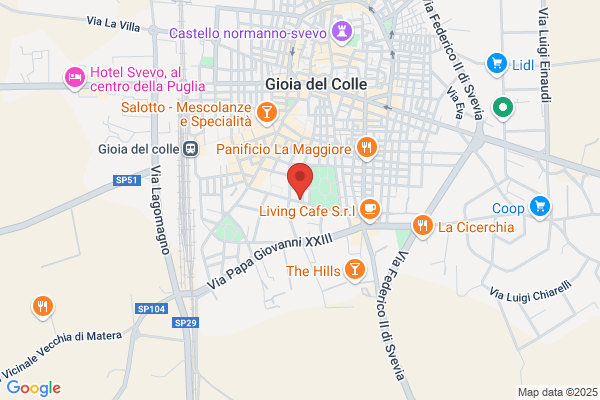 Pandiva (S.P.A.)