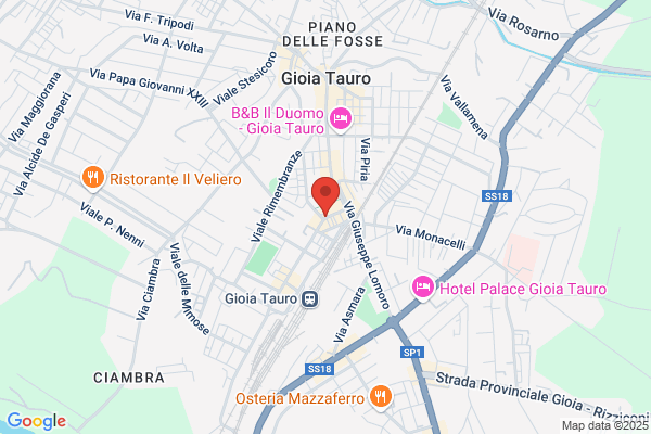 I Viaggi Del Calabrone Di Parisi Barbara m.