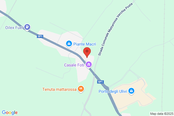 Faraone Francesco