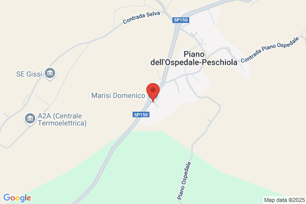 Marisi domenico