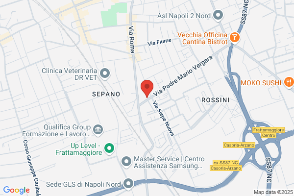 Vitale vincenzo