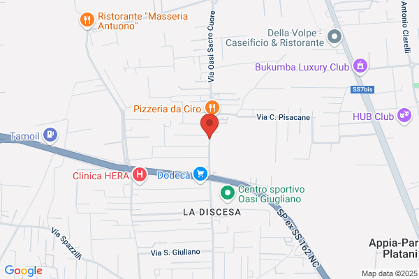 Pelletteria G.L.D. Di Priore Luisa Sas