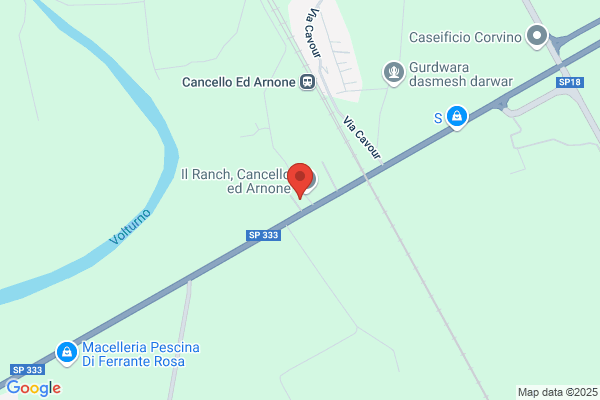 N.C.Piante Srl