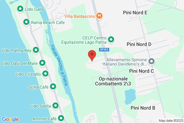 Studio Senese Srl