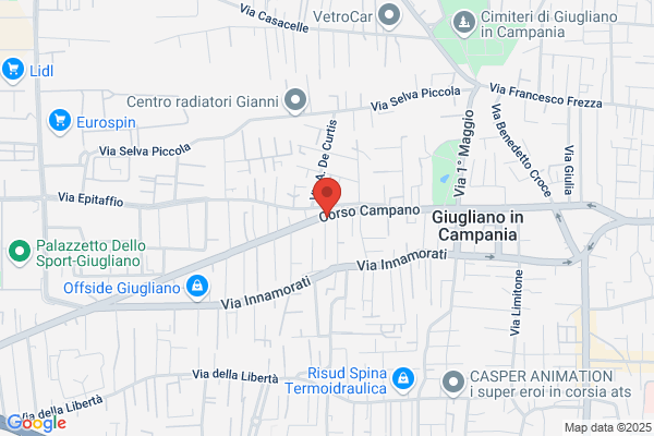 Gelido Surgelati