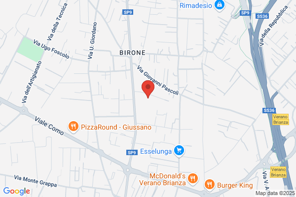 Borgonovo Ingranaggi Srl