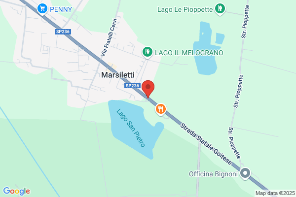 Maestrini carlo (Dr.)