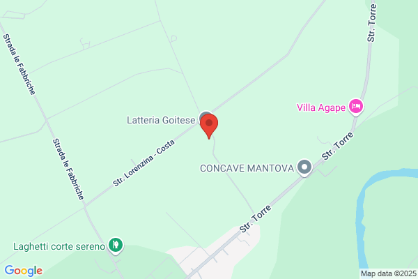 Latteria Cooperative Goitese (Soc.Coop.R.L.)