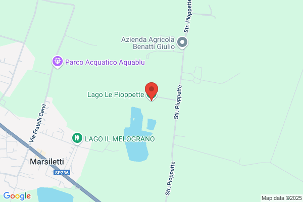 Piccoli ruggero