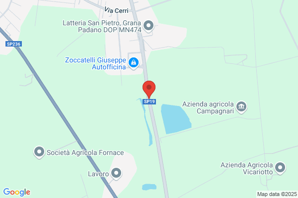 Scalari stefano