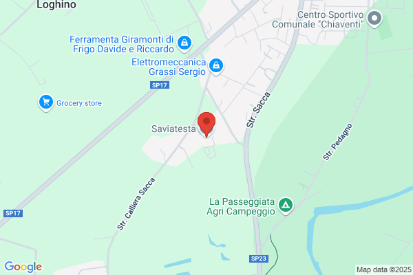 Saviatesta remo