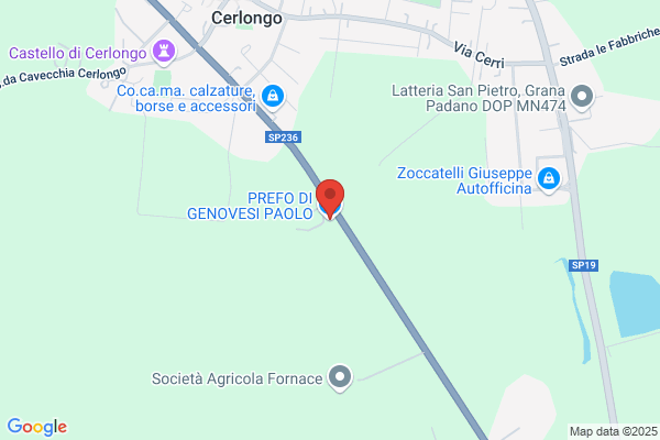 Prefo Di Genovesi Artuto & C. (S.N.C.)