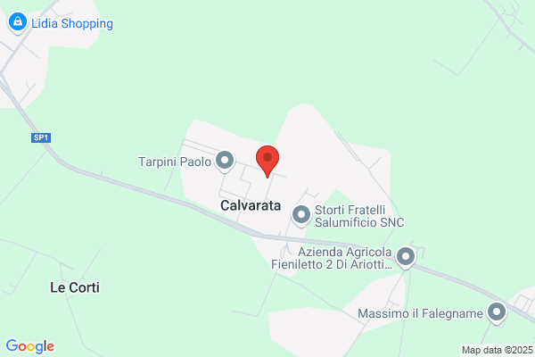 Manifattura Calze Dlf Di Clerici Daniela E C. s.N.C.