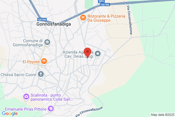 Linasprint Di Lisci Alessio