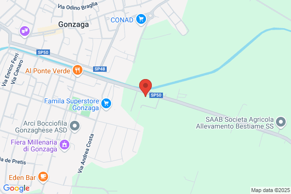 Cremazione Gonzaga