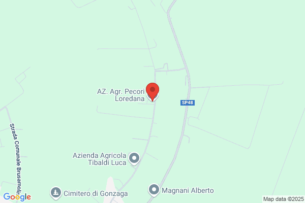 Ferraro Loredana