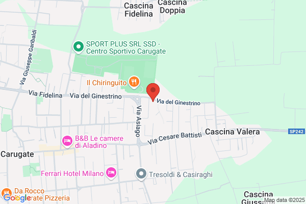 Carpenteria CMC