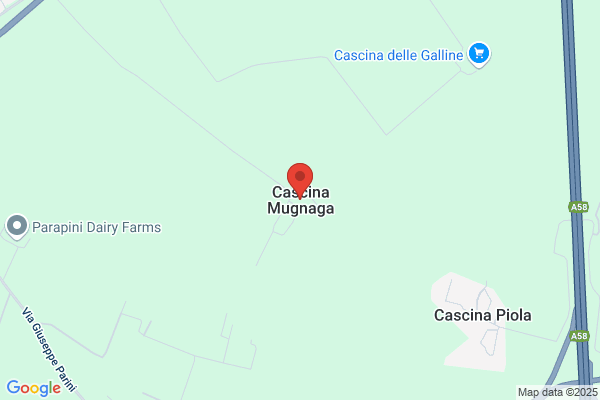 Invernizzi Angelo (Dr.)