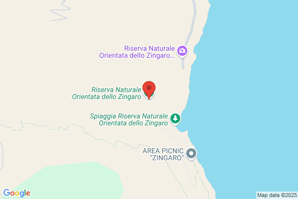 Zingaro