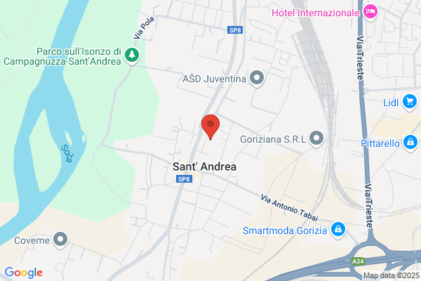 Pitasso loredana (Dr.)