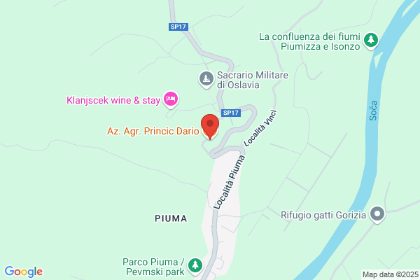 Vianni dario
