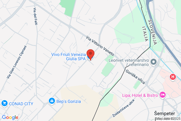 Vivo Friuli Venezia Giulia S.P.A.
