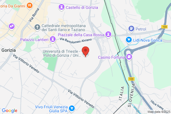 Universita Degli Studi Di Trieste