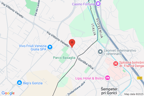 Schiro gaio (Dr.)