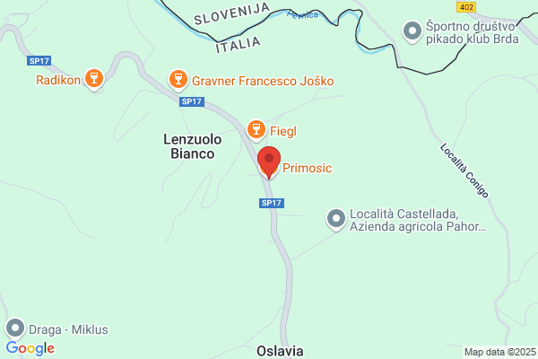 Primosig silvestro