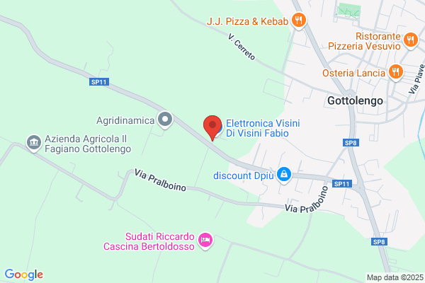 Pini dario