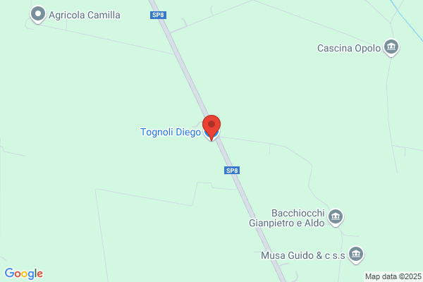 Tognoli giuseppe