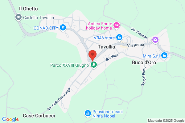 G.G.T. Pitturazioni Edili