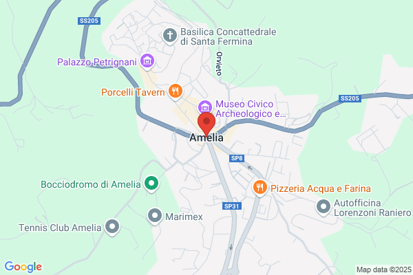 Palla amelia