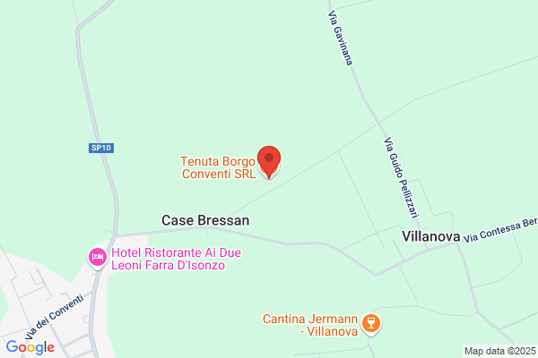 Tenuta Borgo Conventi S.R.L.