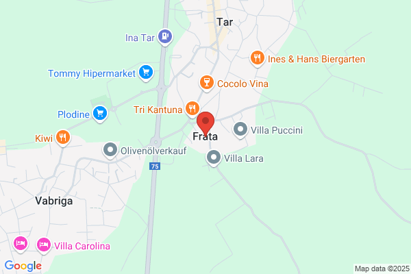 Frata Nellangelo