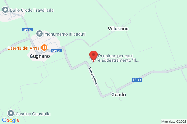 Il Ramo Doro Di Marinoni Giuseppe