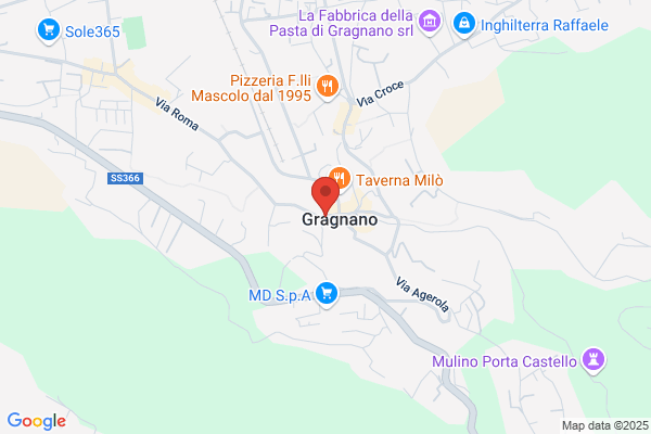 Elettronica Savarese (S.R.L.)
