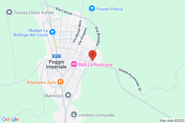 Imetel Di Libero Palmieri