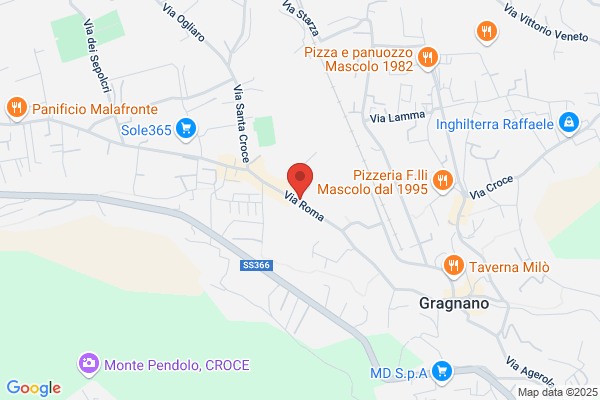 Exotica Linea Snc Di Scote Assunta