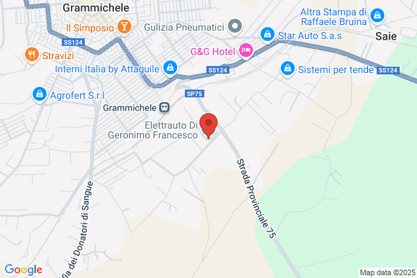 Digeronimo Francesco Elettrauto