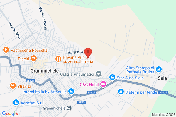 Gedin Srl