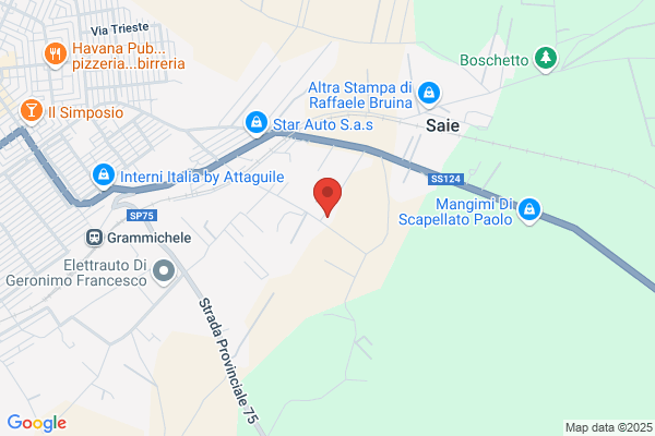 Gulino Michele