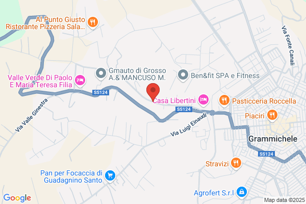 Istituto Reg. Darte Libertini