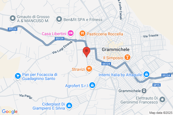 Istituto S. Vincenzo Dei Paoli