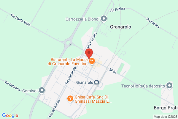 Montanari dario