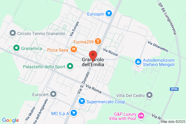 Gnesini Emilio