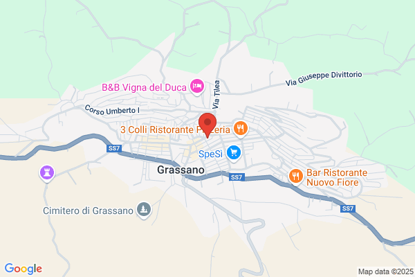 Grassani - Noleggio autobus, minibus, van e auto
