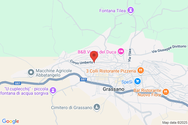 Vignola francesco
