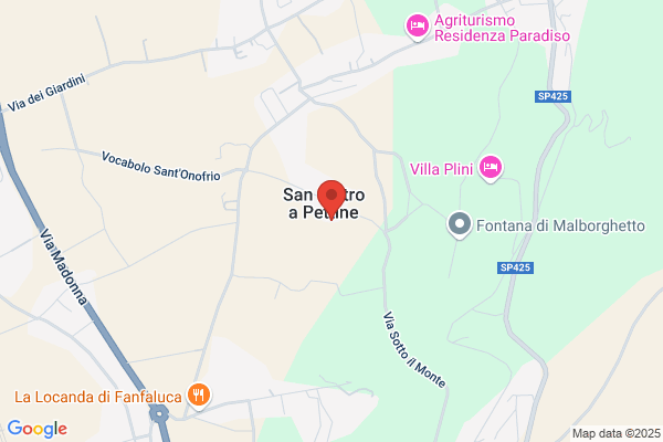 Pettine       Danilo